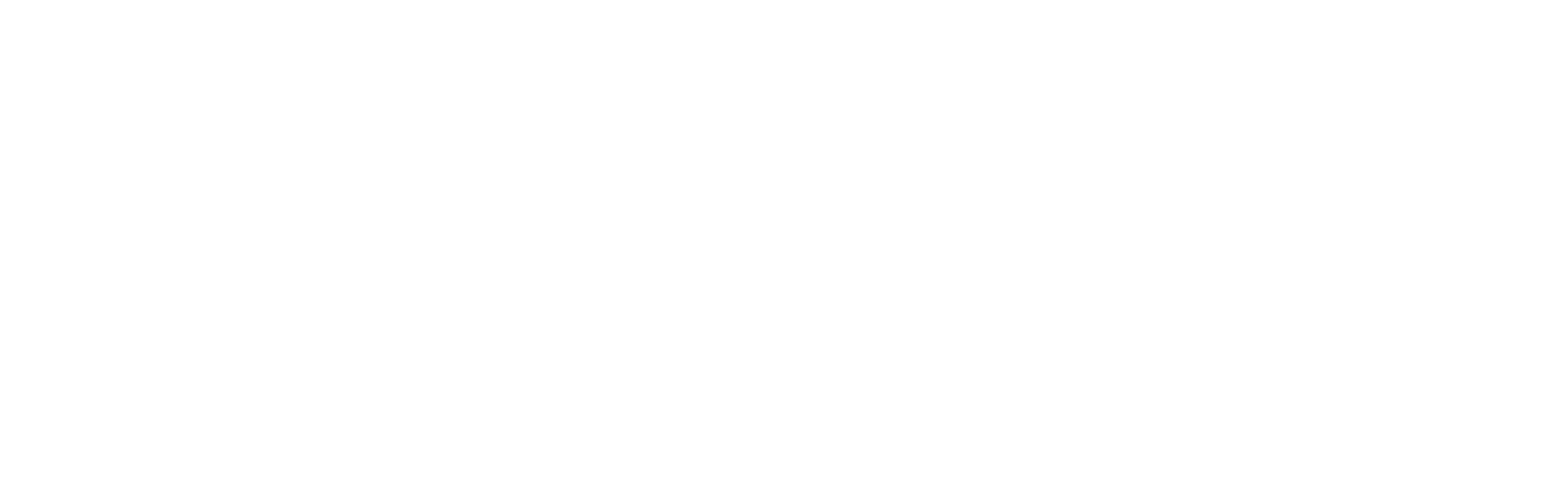 Brand Logo White